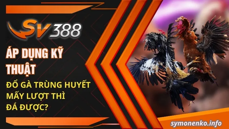 Áp dụng kỹ thuật đổ gà trùng huyết mấy lượt thì đá được?