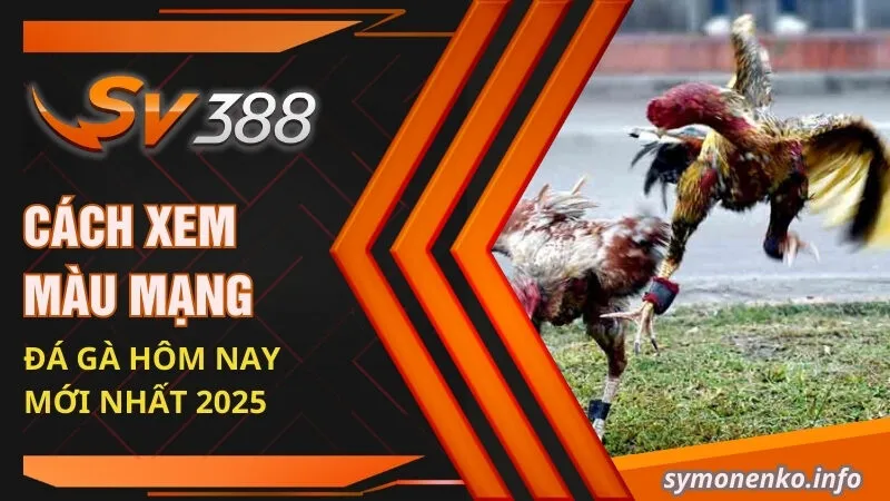 Cách Xem Màu Mạng Đá Gà Hôm Nay Mới Nhất 2025 11 cach xem mau mang da ga hom nay moi nhat 2025