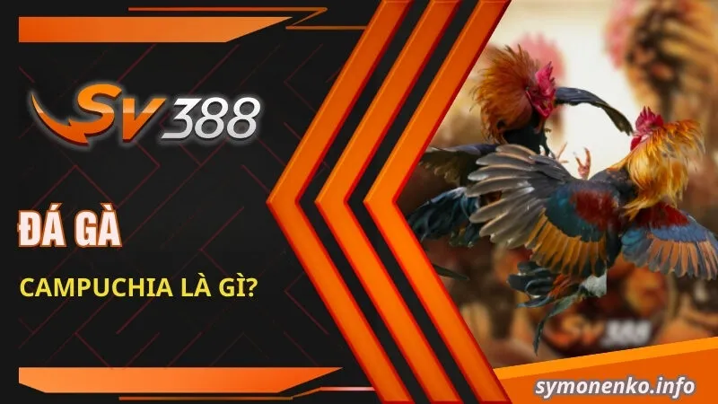 Đá gà Campuchia là gì