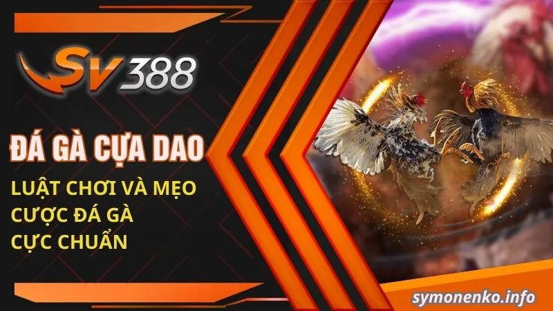 Đá Gà Cựa Dao: Luật Chơi Và Mẹo Cược Đá Gà Cực Chuẩn 12 đá gà cựa dao