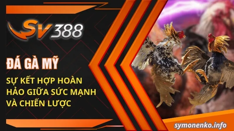 Đá Gà Mỹ - Sự Kết Hợp Hoàn Hảo Giữa Sức Mạnh Và Chiến Lược 9 đá gà Mỹ