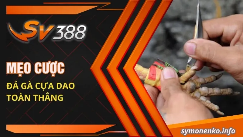 Mẹo cược đá gà cựa dao toàn thắng