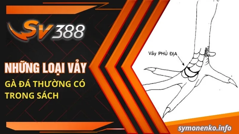 Sách coi vảy gà | Cách chọn vảy gà đá ĐỘC - LẠ - ĐẸP 3 Những loại vảy gà đá thường có trong sách