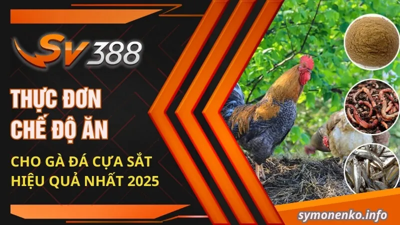 Thực Đơn Chế Độ Ăn Cho Gà Đá Cựa Sắt Hiệu Quả Nhất 2025 8 thuc don che do an cho ga da cua sat hieu qua nhat 2025