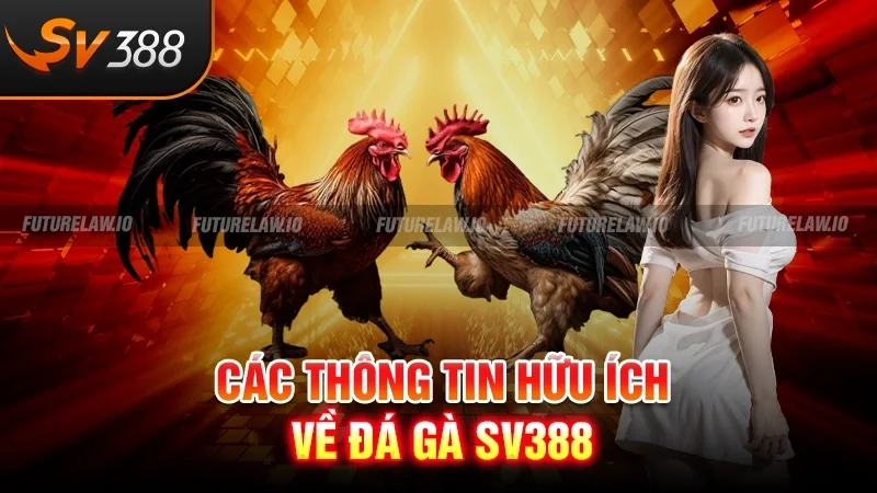 Trang chủ 12 Các thông tin hữu ích về đá gà SV388