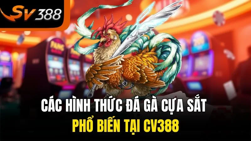 Những Điều Thú Vị Về Đá Gà Cựa Sắt Tại SV388 Bạn Không Thể Bỏ Lỡ 3 Các hình thức đá gà cựa sắt phổ biến tại SV388