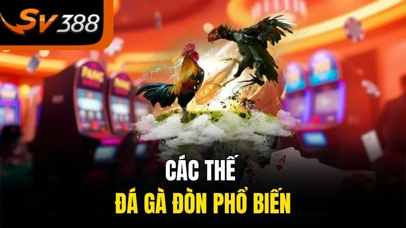  Các thế đá gà đòn phổ biến
