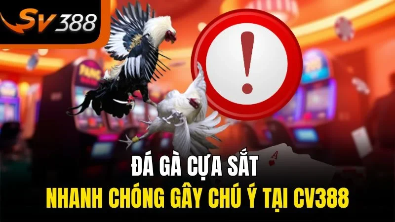 Những Điều Thú Vị Về Đá Gà Cựa Sắt Tại SV388 Bạn Không Thể Bỏ Lỡ 2 Đá gà cựa sắt nhanh chóng gây chú ý tại SV388