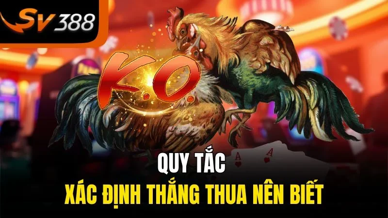 Đá Gà Cựa Dao - Trò Chơi Đỉnh Cao Cho Những Tay Chơi Thực Thụ 4 Quy tắc xác định thắng thua nên biết