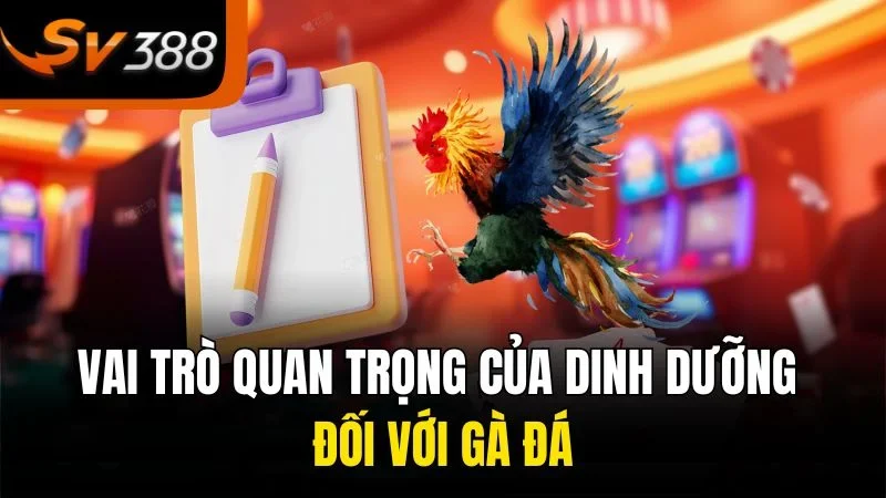 Lựa Chọn Thức Ăn Cho Gà Đá Giúp Chiến Kê Luôn Sung Mãn 2 Vai trò quan trọng của dinh dưỡng đối với gà đá